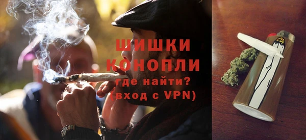 мдпв Бронницы