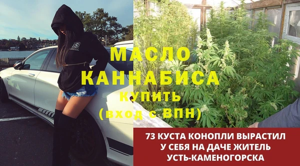 мдпв Бронницы