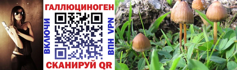 Купить где  Луза  Галлюциногенные грибы ЛСД 